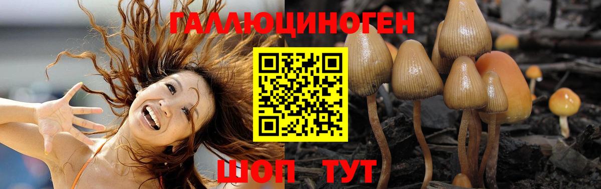 Сафоново  Псилоцибиновые грибы MAGIC MUSHROOMS  Вход с VPN 